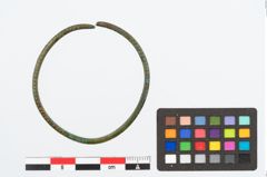 Foto von Bronzearmeif (NHMW-PRAE-026452)